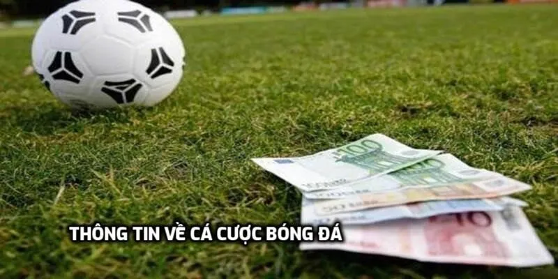 Thông tin về cá cược bóng đá